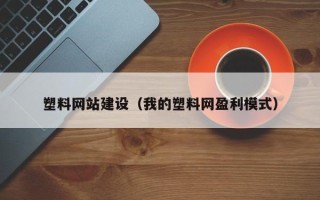 安庆塑料网站建设（我的塑料网盈利模式）