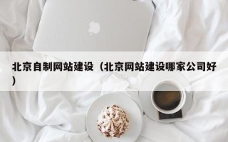 安庆北京自制网站建设（北京网站建设哪家公司好）